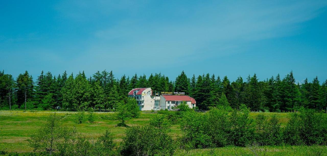 Hotel Tsiskari Ianet'i Екстер'єр фото