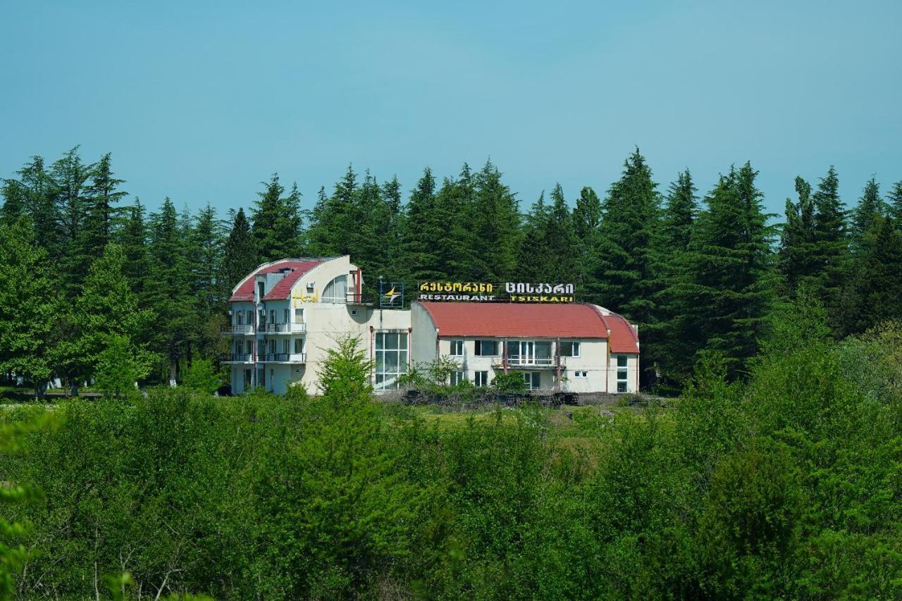 Hotel Tsiskari Ianet'i Екстер'єр фото