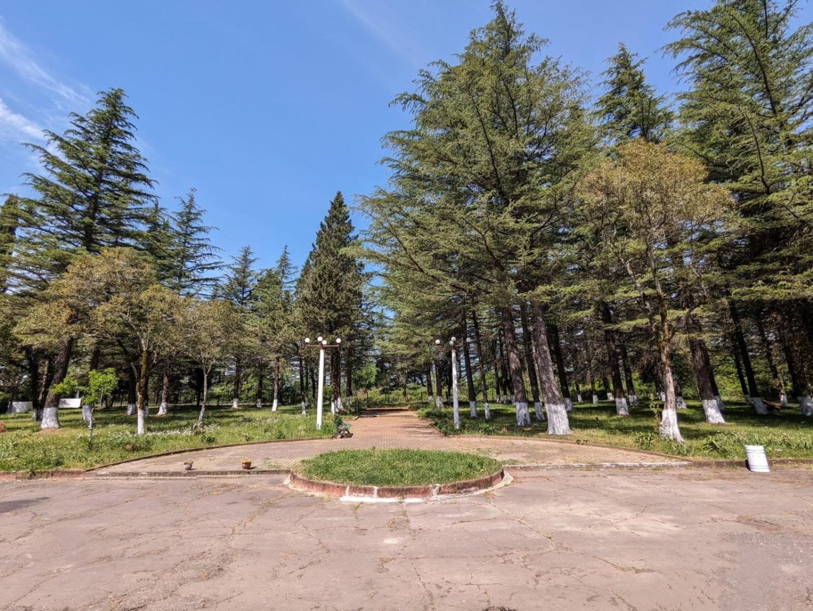 Hotel Tsiskari Ianet'i Екстер'єр фото
